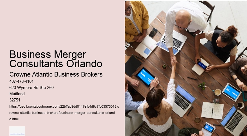 Business Merger Consultants Orlando