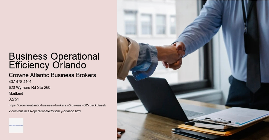 Business Operational Efficiency Orlando