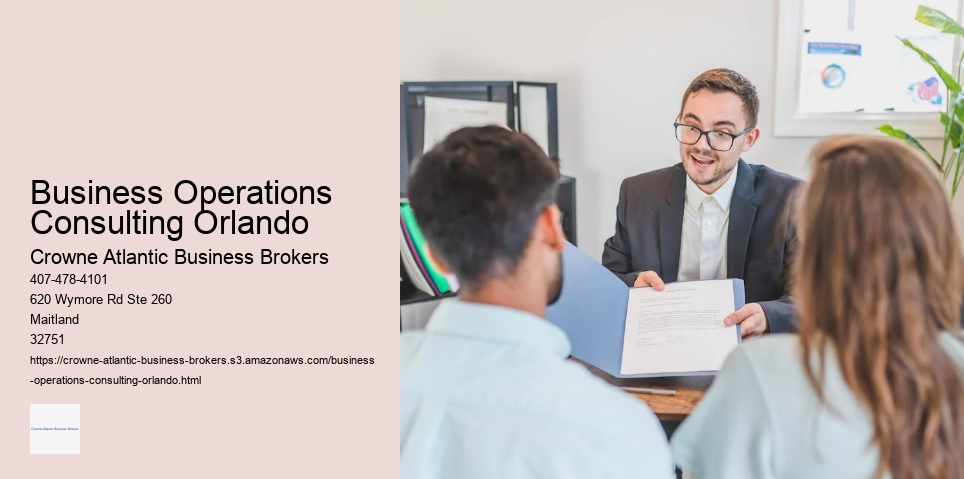 Business Operations Consulting Orlando