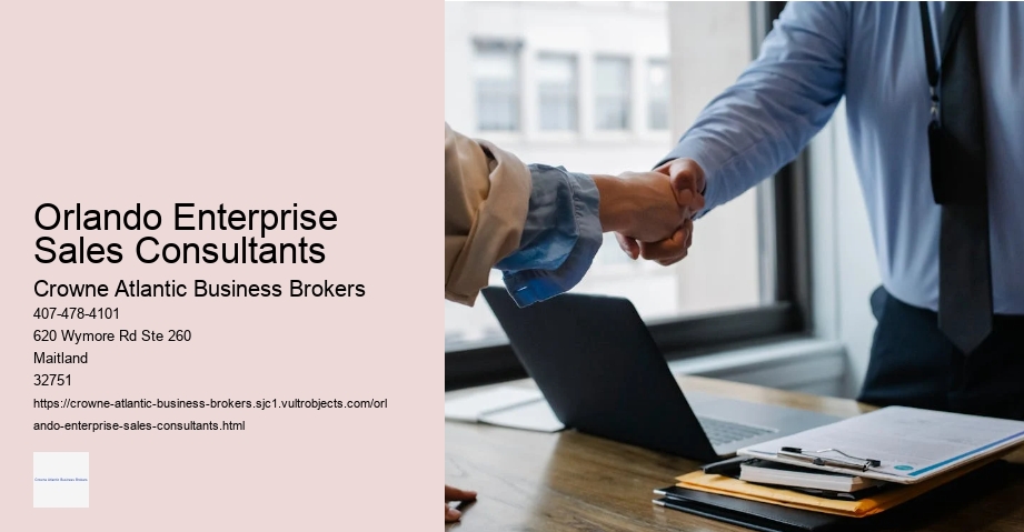 Orlando Enterprise Sales Consultants